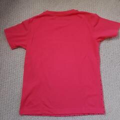 130cm　半袖　Tシャツの画像