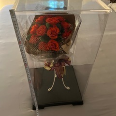 コレクションケース フィギュアケースの画像