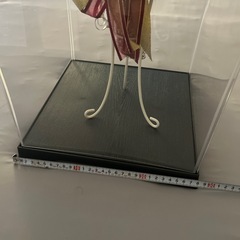 コレクションケース フィギュアケースの画像