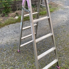 5尺脚立の画像