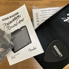 Fender Princeton Reverb tone master の画像