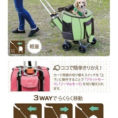 犬用　　
ファンタジーワールド スイートハート リュックタイプ ブラックの画像