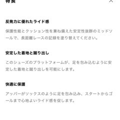 トレッキングシューズ SALOMONの画像