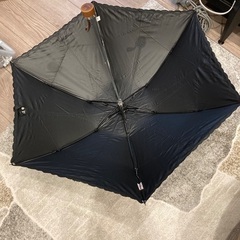 遮光加工の日傘雨傘の画像