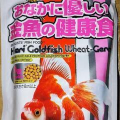 金魚、熱帯魚その他の画像