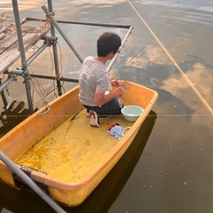 【葛城】【大和高田】【香芝市】池のお手伝い募集