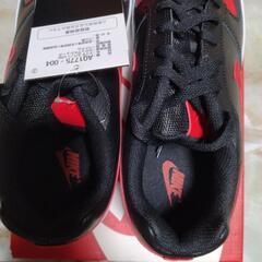 NIKE EBARNON LOWの画像