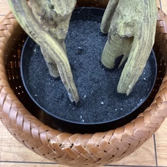 【トレファクマーケット久喜店】フェイクグリーンの画像