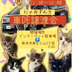 🐱保護猫🚗車DE譲渡会🐱　　　　　　　インターペット🅿️