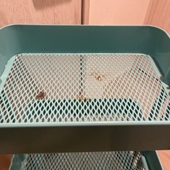 キャスター付きラック　ミントグリーン　IKEAの画像