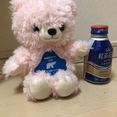 ぬいぐるみ等1つ500円　の画像