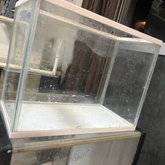水槽の画像