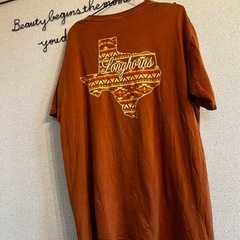 USA製 テキサスロングホーンズ 両面プリントTシャツ ブラウン系 古着の画像