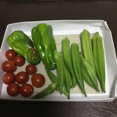 早い者勝ち オクラセットの画像