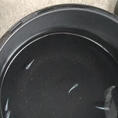 みゆきメダカの画像