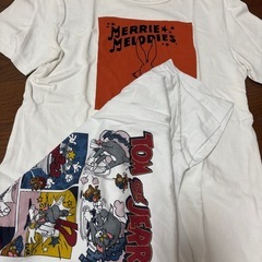 メンズTシャツZARA※7月まで の画像