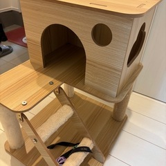 猫タワーの画像