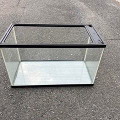水槽　60cm  中古　メダカ　金魚　飼育の画像