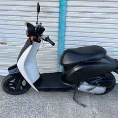 原付　バイク ホンダ トゥデイ 50ccの画像