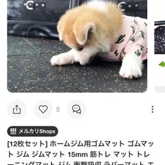 ジムマット【12枚入り】固定部品込みＥＰＤＭ素材　の画像