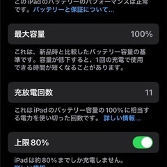 iPad mini 7 256GB セルラーモデル　美品の画像