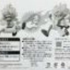 『ワンピース』ワーコレ ・ギア５ ルフィの画像