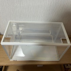 【お取引決定】水槽の画像