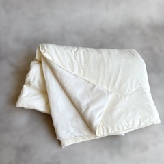 ニトリ　極冷　Nクール　夏掛け　タオルケット　ブランケット　接触冷感　ふとんの画像