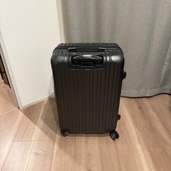 キャリーケース　65リッターの画像