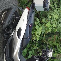 NMAX125美車！ABSブルーコアエンジンノーマルフル装備！！自賠責R9年2月マジェスティPCXリードアクシスDIOJOGシグナストリシティバーグマンビックスクーターの画像
