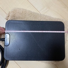 （受け渡し決定した）ペット用ヒーター ホットマット ペット冬用品の画像