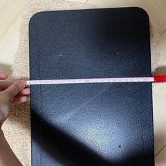 （受け渡し決定した）ペット用ヒーター ホットマット ペット冬用品の画像