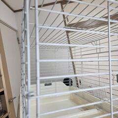 うさぎ、小動物ケージの画像