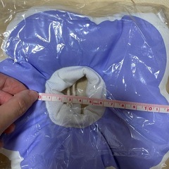 ペット用エリザベスカラー ペット用品の画像