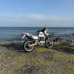 ジェベル125の画像
