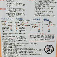 花火🎆の画像