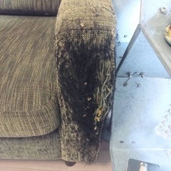 ACME JETTY SOFA 3人がけソファの画像