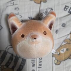 たぬきときつねぬいぐるみの画像