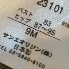 未使用品ラコステ🐊スイムウェア①の画像