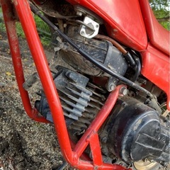 QR50  バイクの画像