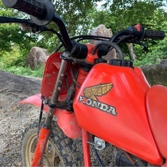 QR50  バイクの画像