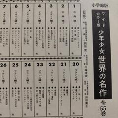 停止中　小学館版　ワイドカラー版　少年少女世界の名作　11冊の画像