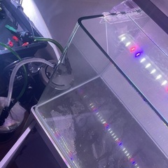 水槽　。キャビネットの画像