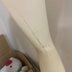 女性　トルソー　難ありの画像