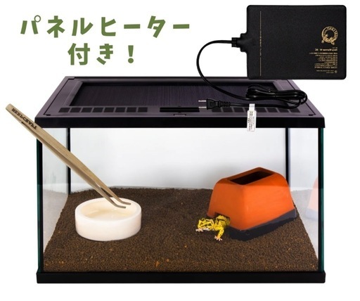 レオパ　ニシアフ　トカゲモドキ　飼育セット