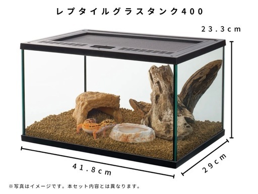 レオパ　ニシアフ　トカゲモドキ　飼育セット
