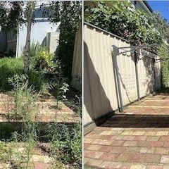 🧹お庭の清掃・木の剪定・美しい庭作り🌿格安で対応します！