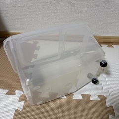 【受け渡し予定者決定】米びつ 兼 フードストッカーの画像