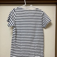 ボーダー　半袖　Sサイズの画像