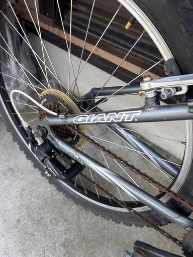 GIANT ROCK 4500